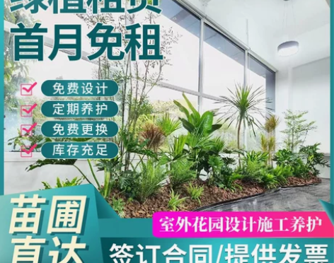 上海书苒园林绿植租赁租摆上海同城办公室设计...