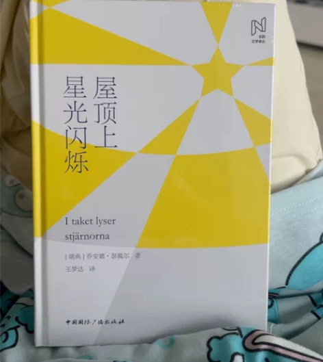 屋顶上的星光 外国文学 乔安娜 色戴尔屋顶...
