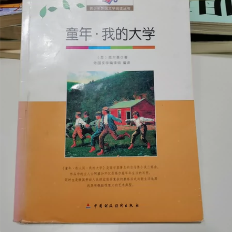 青少年外国文学阅读丛书 童年·我的大学 感...
