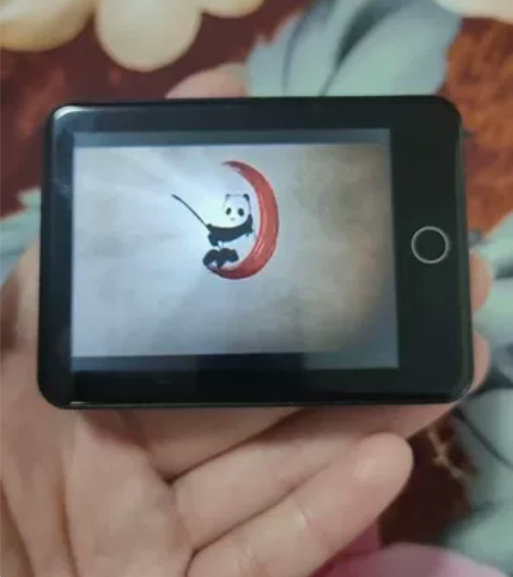 纽曼mp4，蓝牙词典版8G内存，已经下载好...