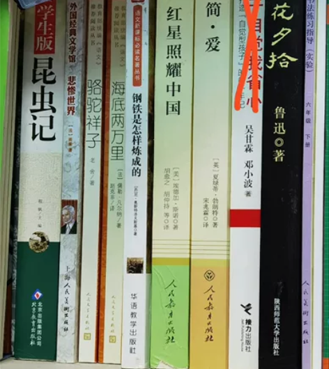 出书 昆虫记 外国经典文学馆悲惨世界 海底...