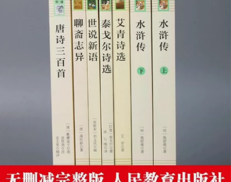 2024九年级上册必读名著艾青诗选水浒传世...