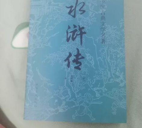 水浒传 全新闲置书籍低价出售中国古典文学名...