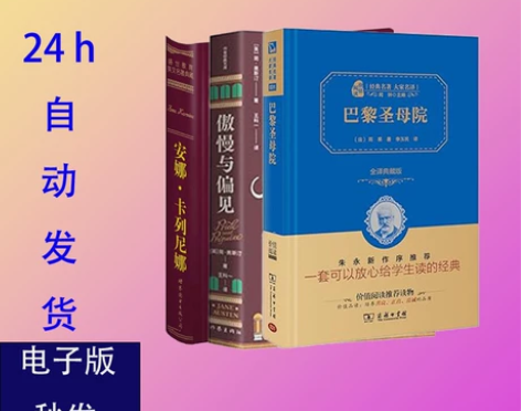 巴黎圣母院+安娜卡列琳娜+傲慢与偏见 西方...
