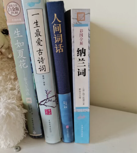 彩图全解纳兰词图书 人间词话-盛传百年的不...