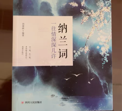 正版包邮，共2本，9成新 纳兰词，人间词话...