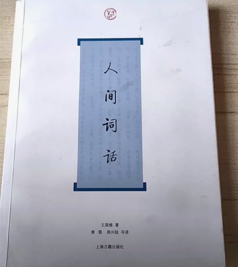 #视频宝贝集市 人间词话正版文学小说 感兴...