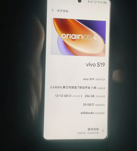 ?vivos19  600 国产机  有喜...