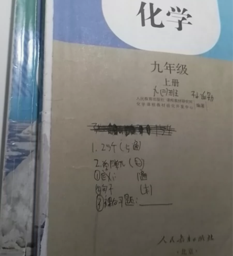 初中学霸化学课本全套化学 九年级下册 感兴...