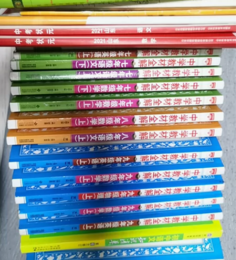 初中中学教材全解 语文数学英语政治历史地理...