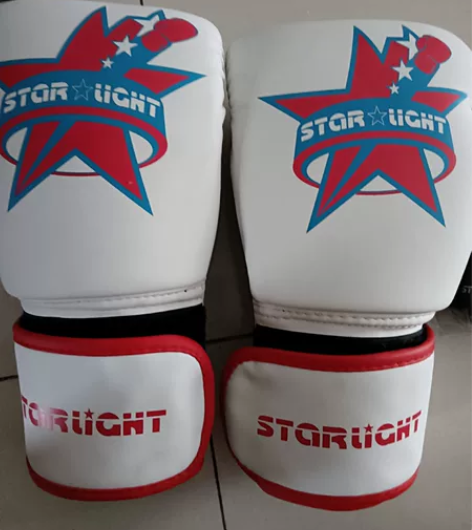 成人拳击手套，几乎全新，喜欢自取，房山良乡...