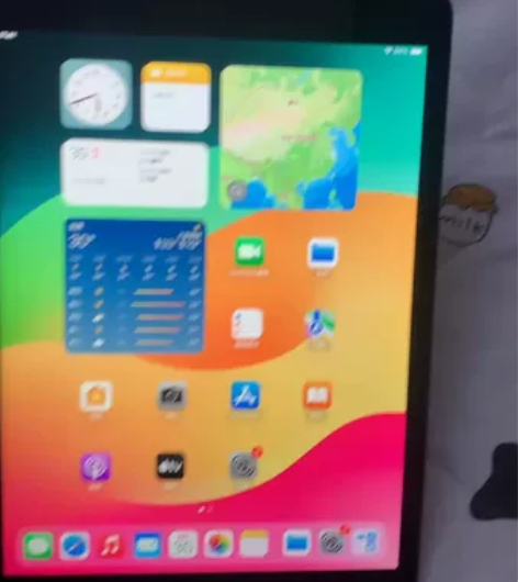 本人女大学生急出，带笔出iPad2021款...