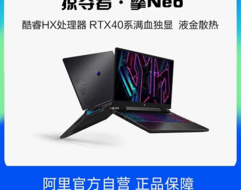 自营Acer/宏碁掠夺者·擎Neo 第13...