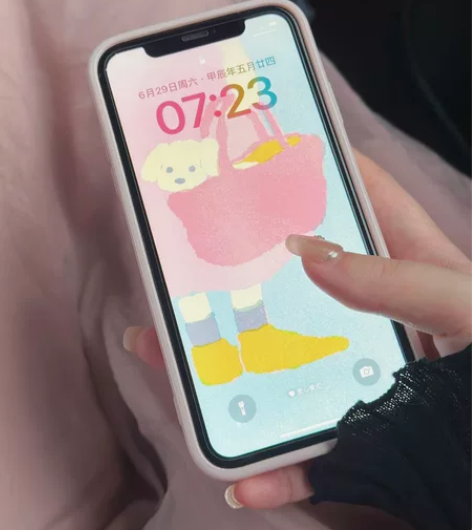 闲置出苹果 XR 白色 功能正常 性能强大...