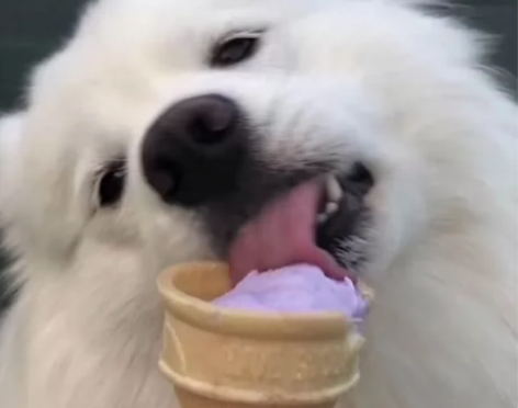 接家教或者学习监督 本人本硕南昌大学 力学...