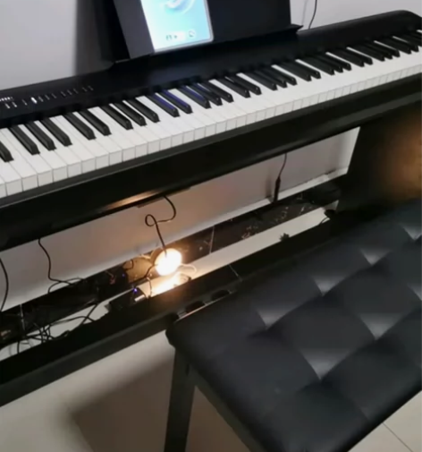 大学生自用罗兰钢琴fp30x，99新，只弹...