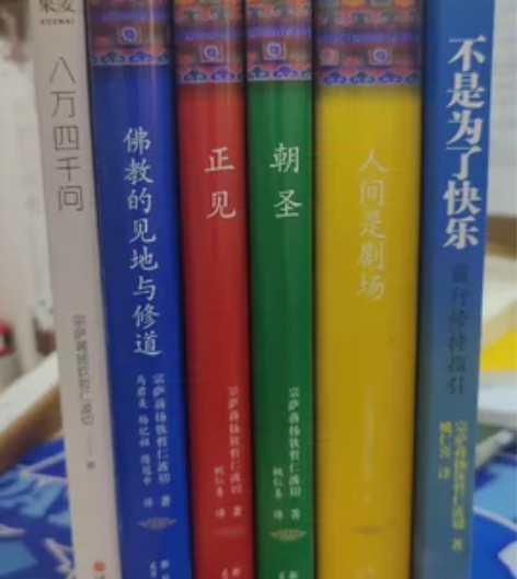 出一套哲学思考书【正版】 八万四千问正见朝...