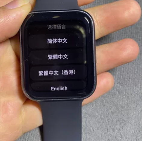 魅族全智能手表 手表屏幕显示正常，具体看最...