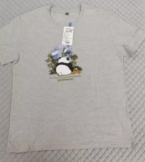 男士真维斯全新2xL短袖T恤带吊牌，25....