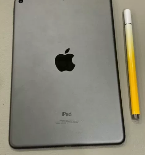 iPadmini5  256G 纯原装机器...