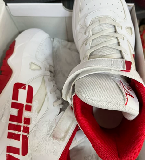 安踏国家队，国风运动鞋，几乎全新 感兴趣的...