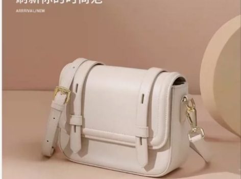 女士邮差包，单肩、斜挎包，买回来没用过，家...