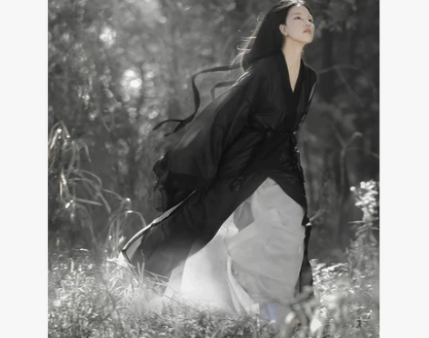 【全新吊牌未摘】原创汉服女魏晋制南北朝黑色...