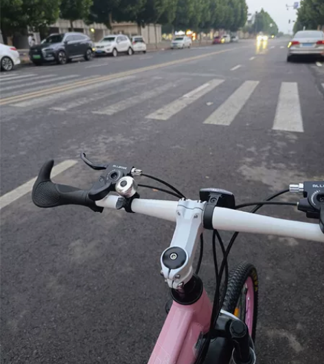 山地变速自行车，24速24寸，全新，已安装...