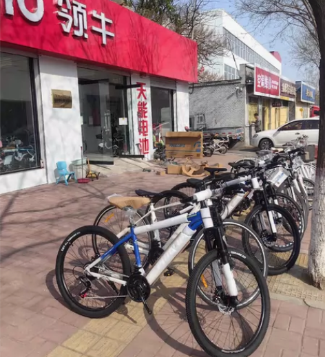 菲利普自行车一辆也是批发价！菲利普山地车4...