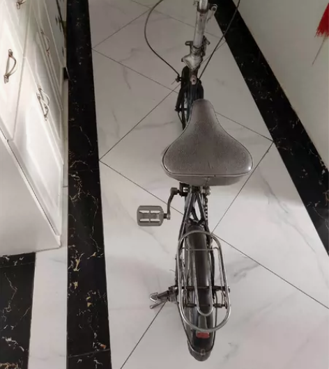 旅行中号折叠自行车，加粗轮胎 感兴趣的话点...