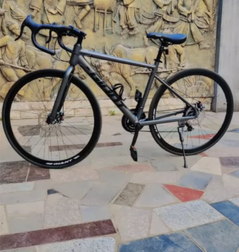 捷安特公路车外贸版逃脱二escape2变速...