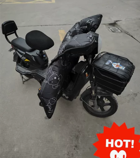 飞鸽电动自行车八九成新，骑了大半年，极限续...