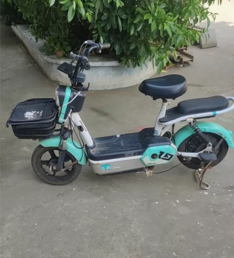 飞鸽电动车,续航约20公里以内(具体看使用...