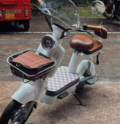 全新电动车，低价处理，车架飞鸽牌子，四块电...