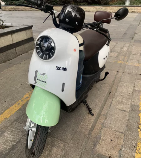 电动车 五羊的，72V22Ah黑金电池 巡...