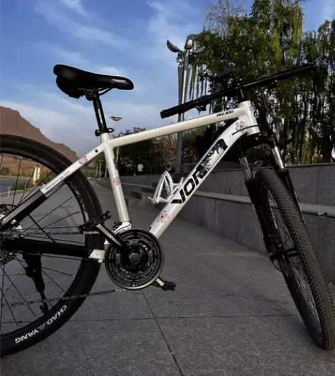 沃雷顿红日300 99新 车主日常骑行不超...