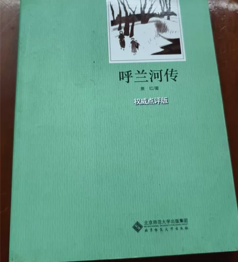 呼兰河传 感兴趣的话点“我想要”和我私聊吧...