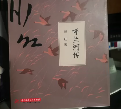 呼兰河传，小城三月，南市街，马伯乐，萧红全...