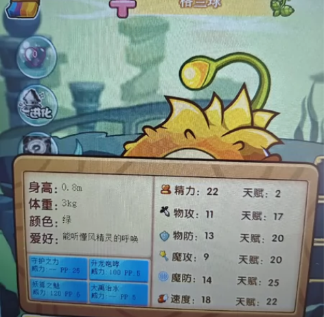 洛克王国宠物蛋小帕 四代三遗传小帕 一个2...