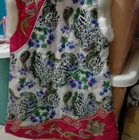 拜年服……儿童棉裙，商店里买的，汉服棉马甲...