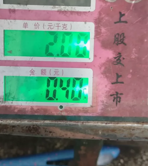 平衡车强磁0.4斤 感兴趣的话点“我想要”...