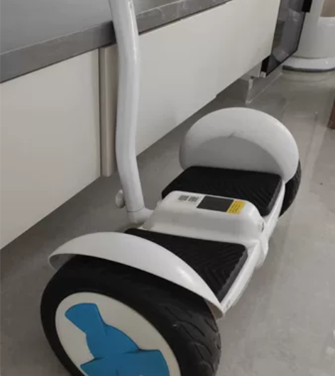 平衡车当时1900元购入，因为是给孩子玩，...