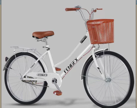 【清仓特惠】全新飞鸽永久凤凰品牌26寸男女...