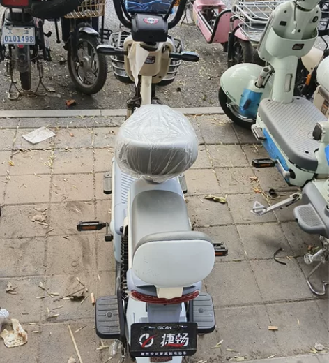 全新电动车,捷畅品牌,全新电池48V20A...