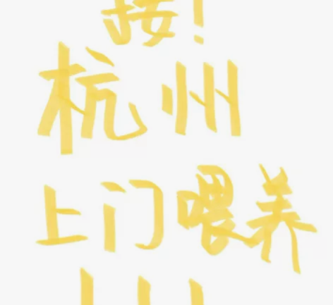 杭州西湖区 转塘街道，承接上门喂猫 铲屎 ...