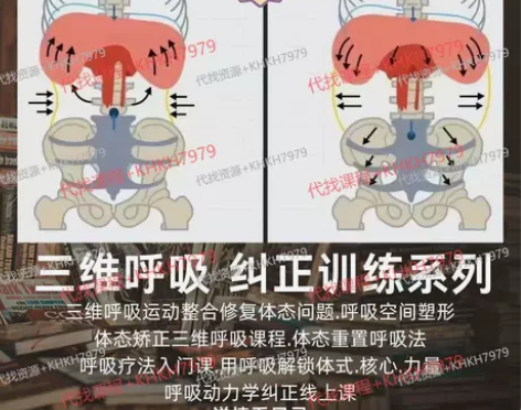 三维呼吸运动整合修复体态问题呼吸重置课程资...