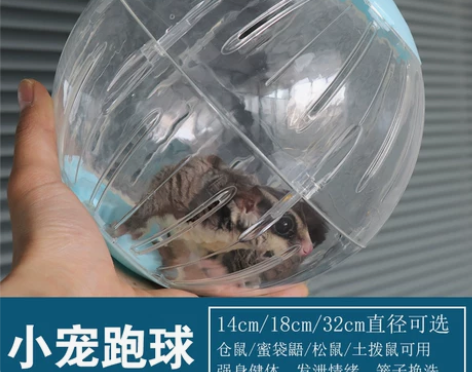 蜜袋鼯仓鼠龙猫刺猬滚球轮子