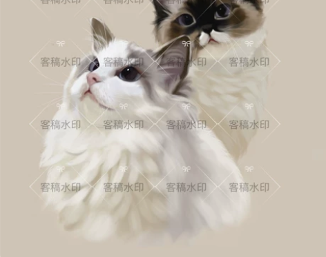宠物厚涂照片转手绘头像约稿 猫狗写实风 写...