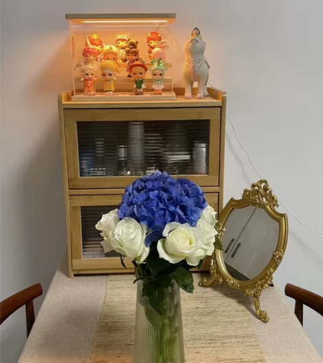 化妆品收纳盒宿舍桌面防尘家用整理箱柜 22...