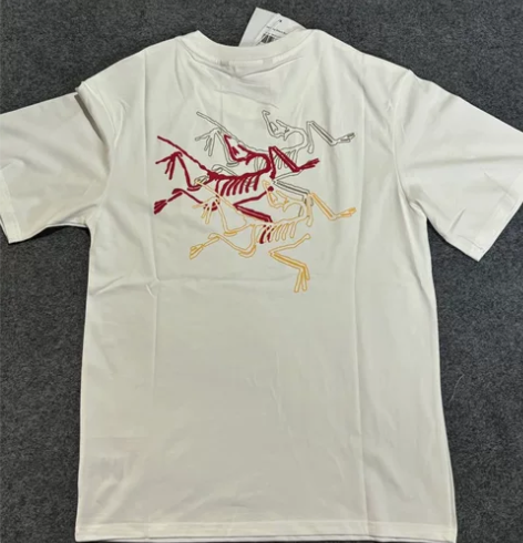 始祖鸟/ARCTERYX 250g重磅 后...